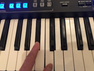 19_aifingered Hands playing electronic keyboard with some of buttons on panel above lit.