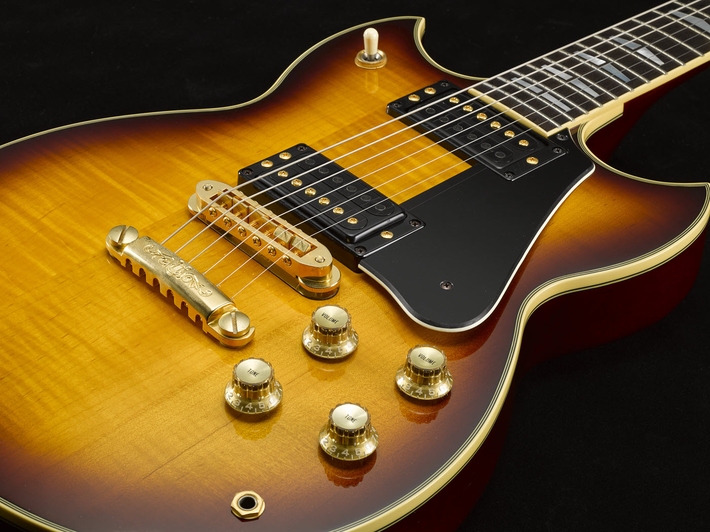 SG2000-1400 Close-up of electric guitar face and strings.