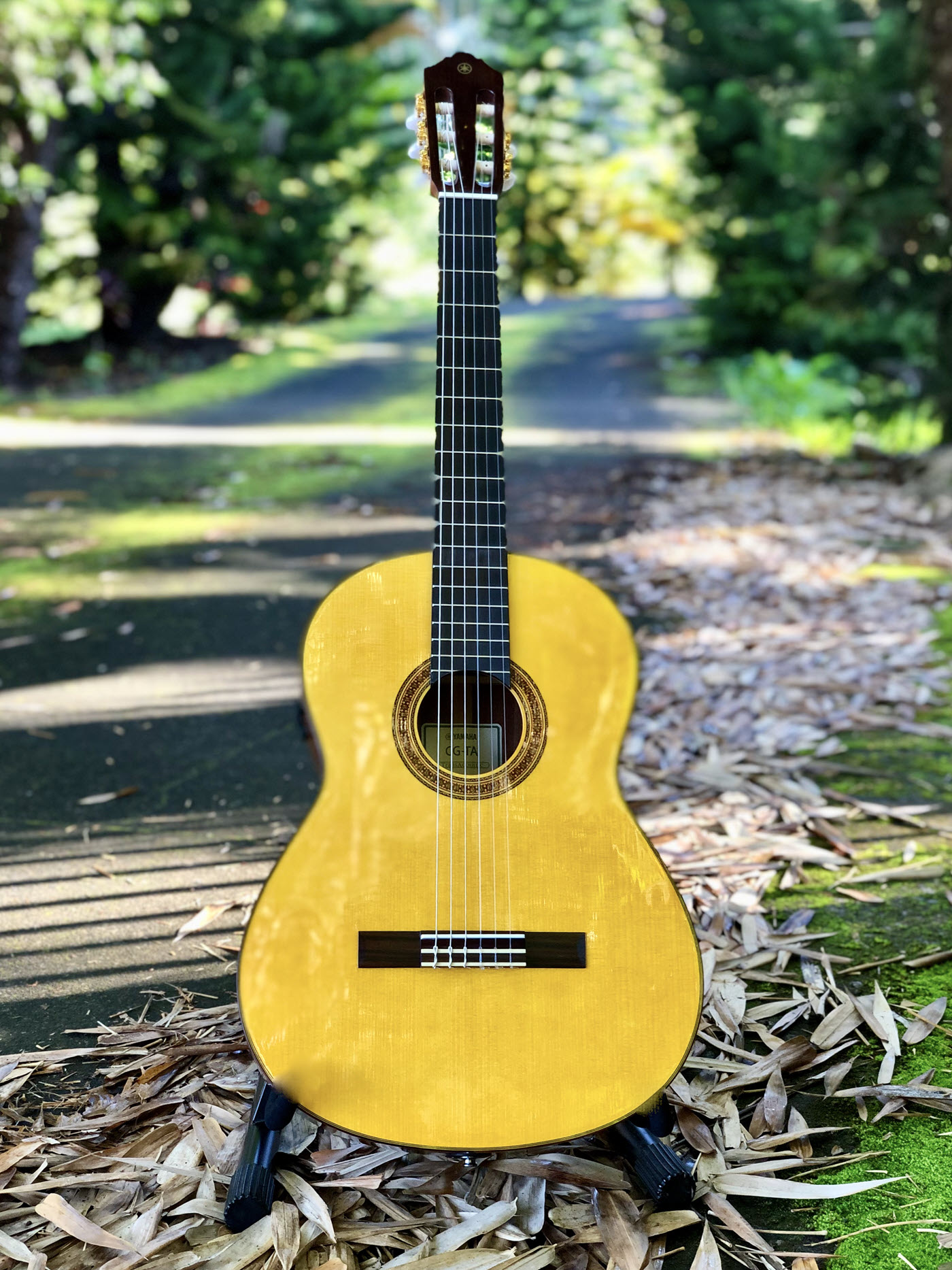 Yamaha-Acoustic-Guitar.jpeg Acoustic guitar in a park setting.