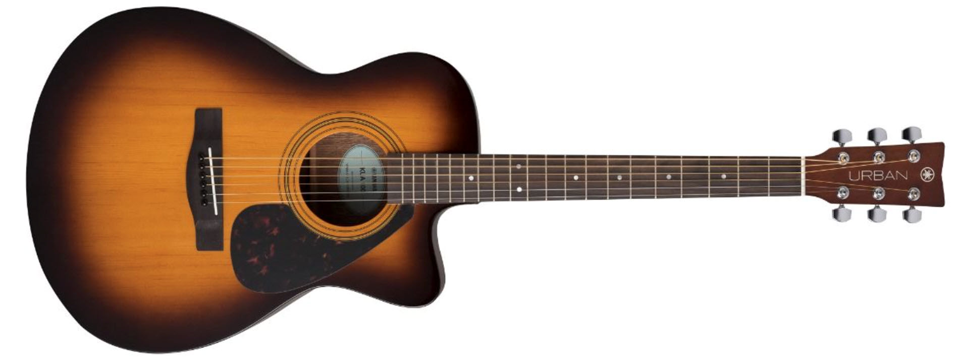 Choose-first-guitar-fig-3 Two toned acoustic guitar.