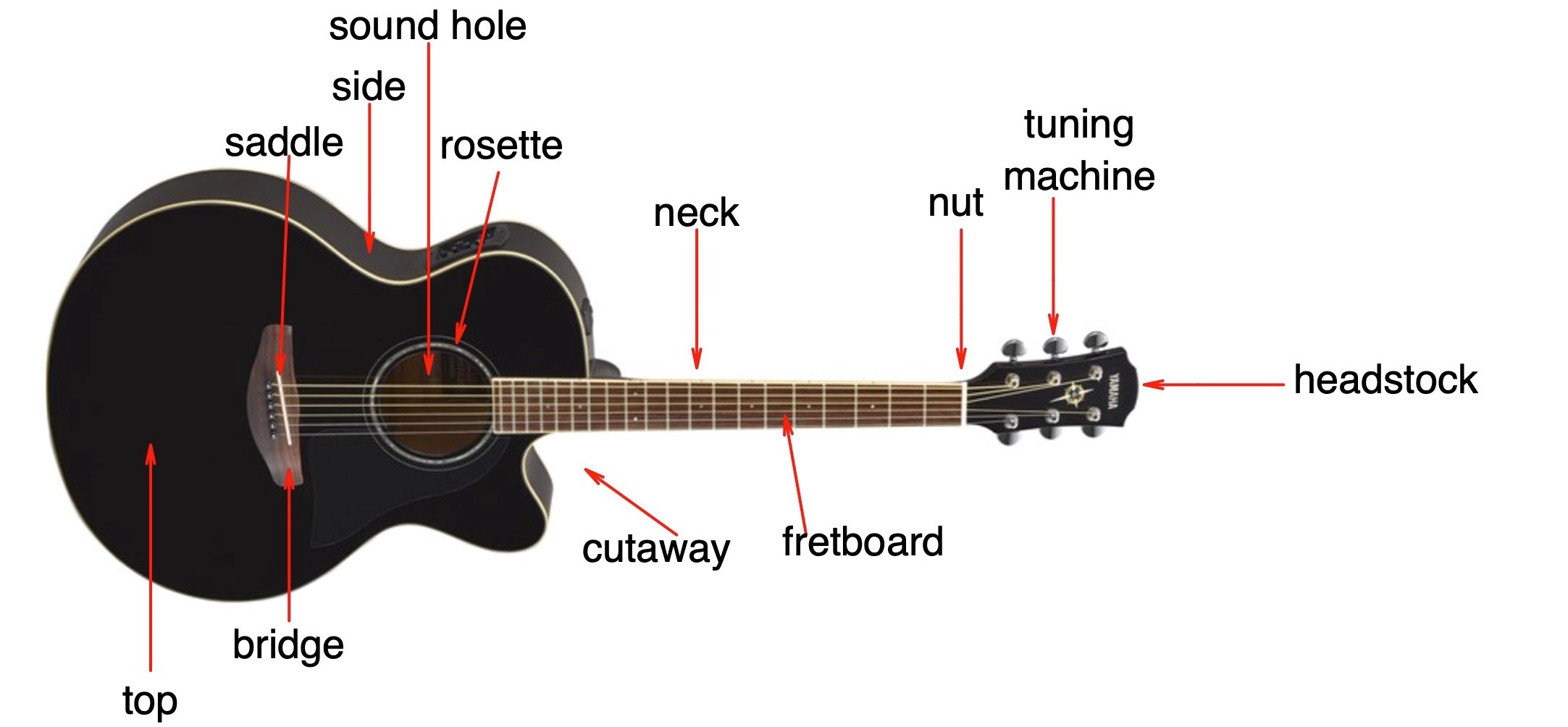Fig.-2-revised An acoustic guitar with its various elements indicated.