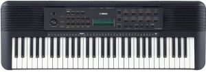 An electronic keyboard.