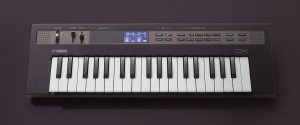An electronic mini-keyboard.