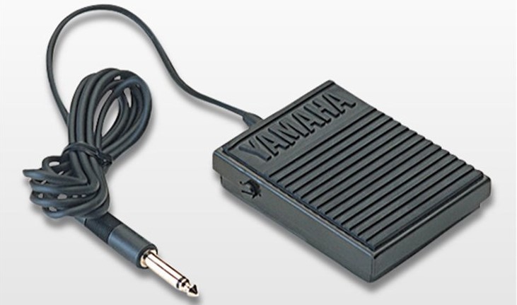 FC5 Foot pedal.